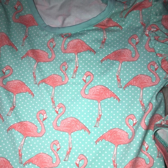 Serendipity By Shrimp & Grits Kids Size 5-6 Little Girls Flamingo Ruffle top - Picture 3 of 6